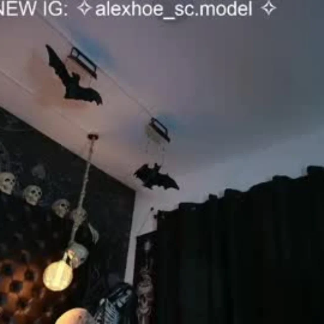 Alexhoe_ profile photo