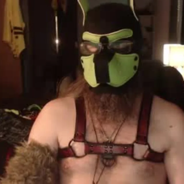 Kinkywolf87 profile photo
