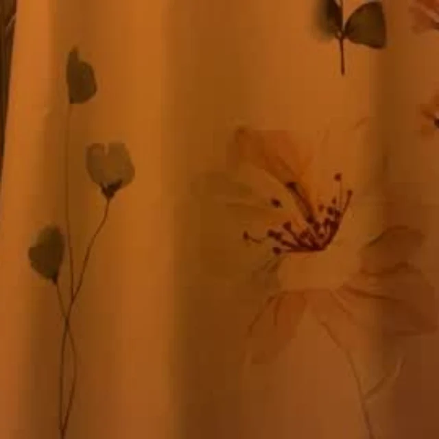 Tranybigcock profile photo